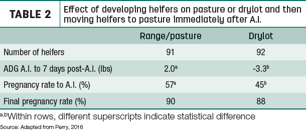 Effect of developing heifers on pasture or drylot and then moving herifers to pasture immediately after A.I.