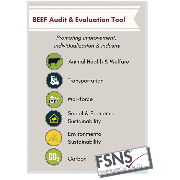 BEEF Audit & Evaluation Tool