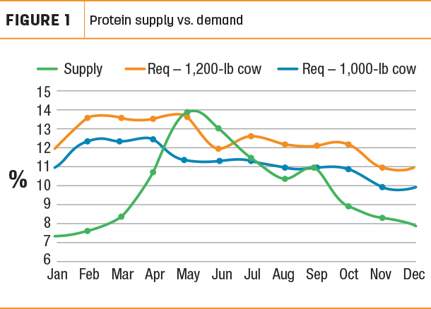 Protein supply vs. demand