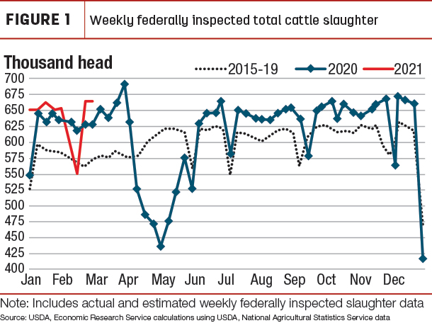 Weekly federally inspected total cattle slaughter
