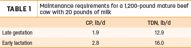 Maintenance requirement for a 1,2000 pound mature beef cow with 20 pounds of milk
