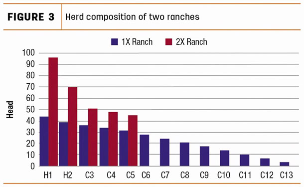 Herd composition of two ranches