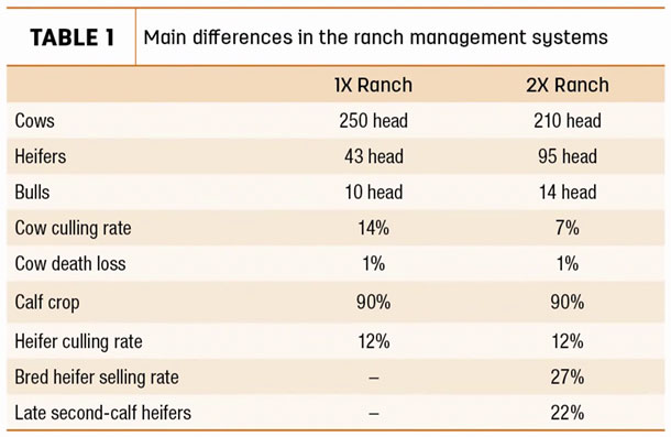 Main differences in the ranch management systems