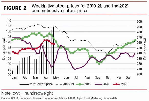 Weekly live steer prices for 2019-21