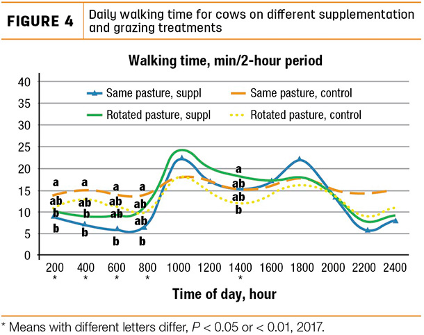 Daily walking time for cows on different supplementation and grazing treatments