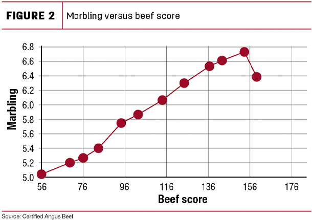 Marbling versus beef score
