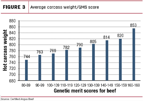 Average carcassweight/GMS score