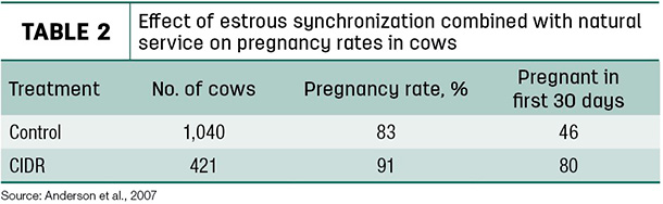 Effecto of estrous synchronization combined with natural service on pregnancy rates in cows