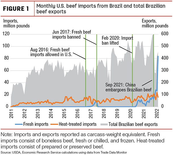 Monthly U.S. beef imports from brazil
