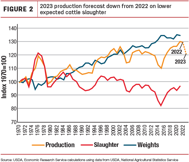 2023 production forecast down from 2022