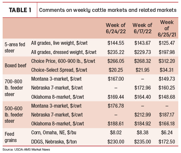 beef cattle prices